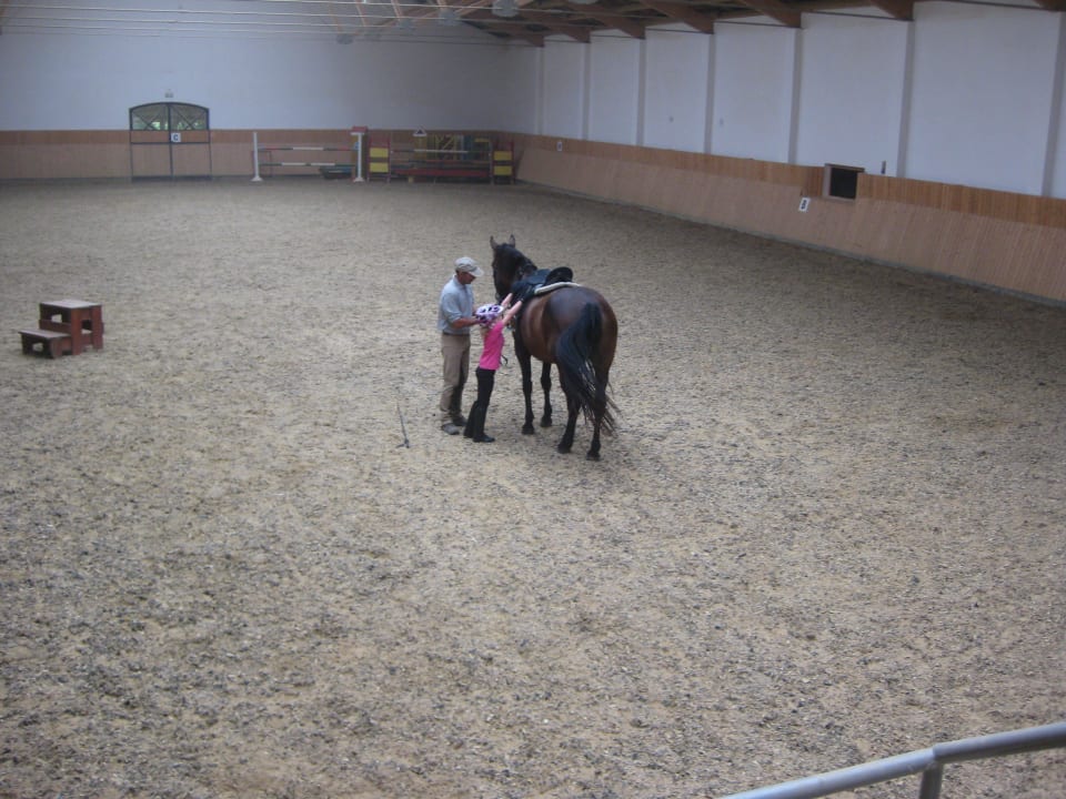 Hofeigene Reithalle Matild Country Hotel