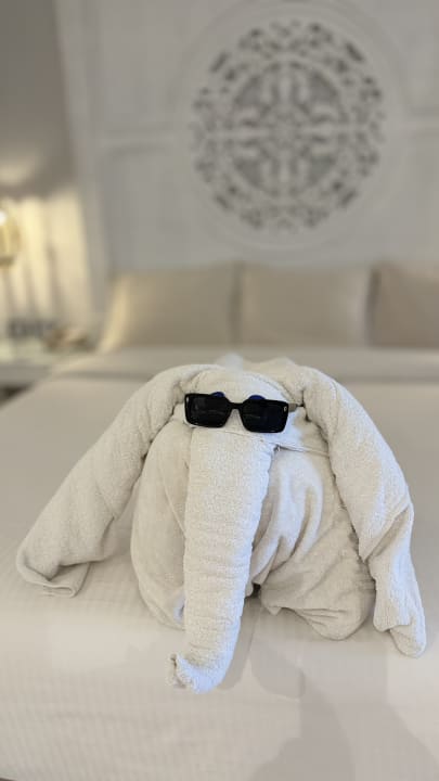 Zimmer The Grand Palace - Adults only