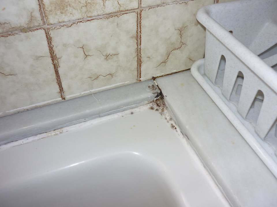 Schimmel Hotel Pinoverde del Golf