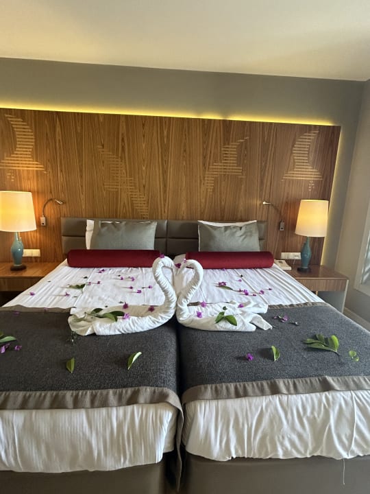 Zimmer PALOMA Perissia