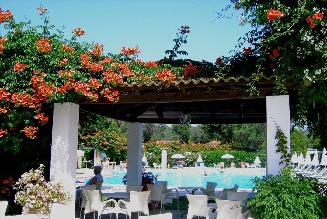 Poolbarterrasse mit Pool Sentido Apollo Palace