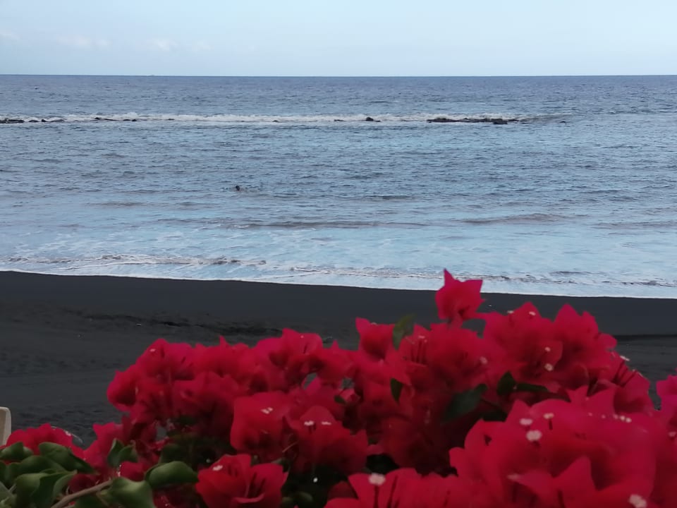 Strand Hotel Riu Arecas - Adults only