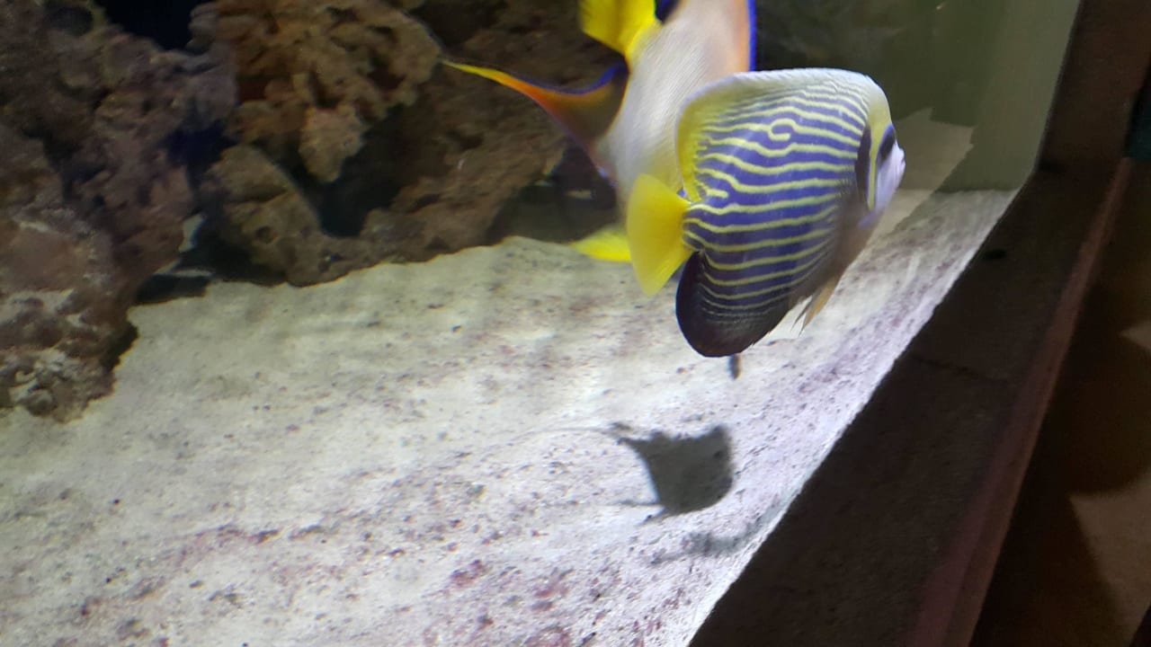 Zoo Hotel Emirates Park Resort