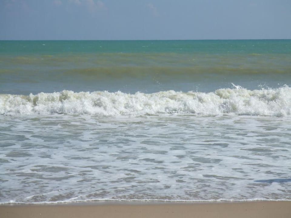 Strand Hotel Royal Nozha