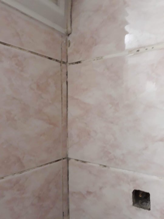 Zimmer Side Miami Beach