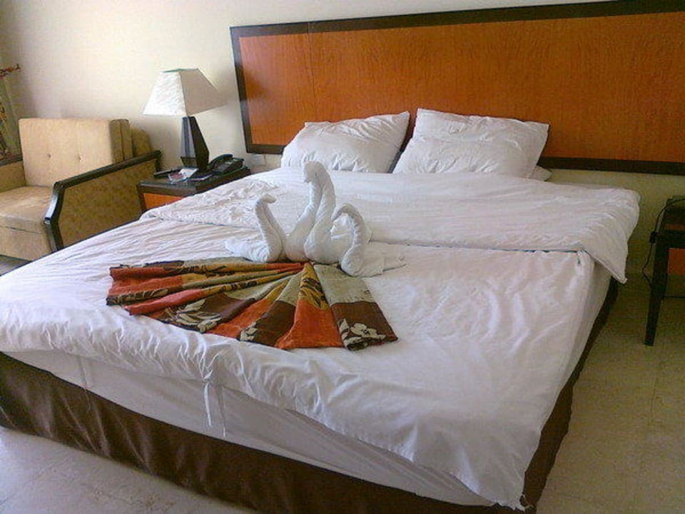 Лебеди AMC Royal Hotel & SPA