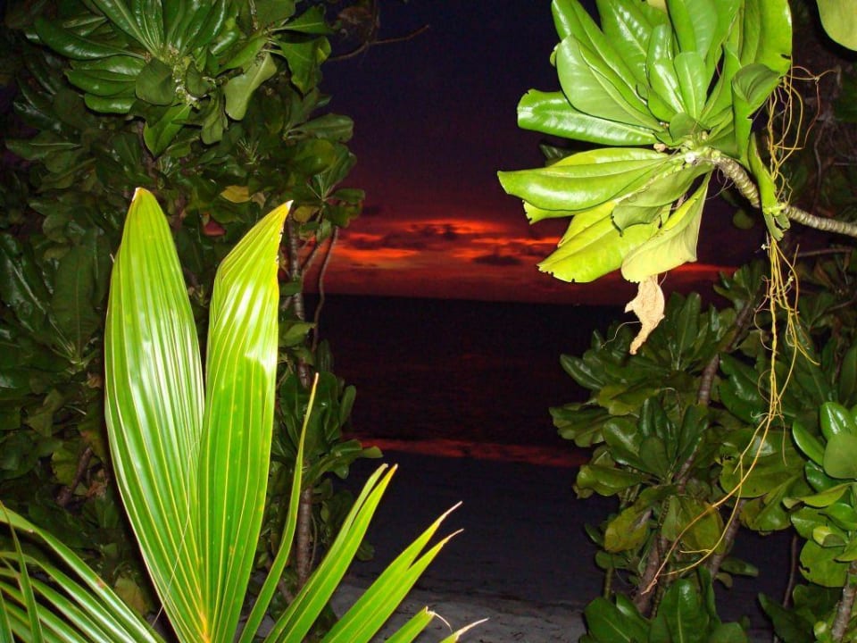 Sonnenuntergang Canareef Resort Maldives