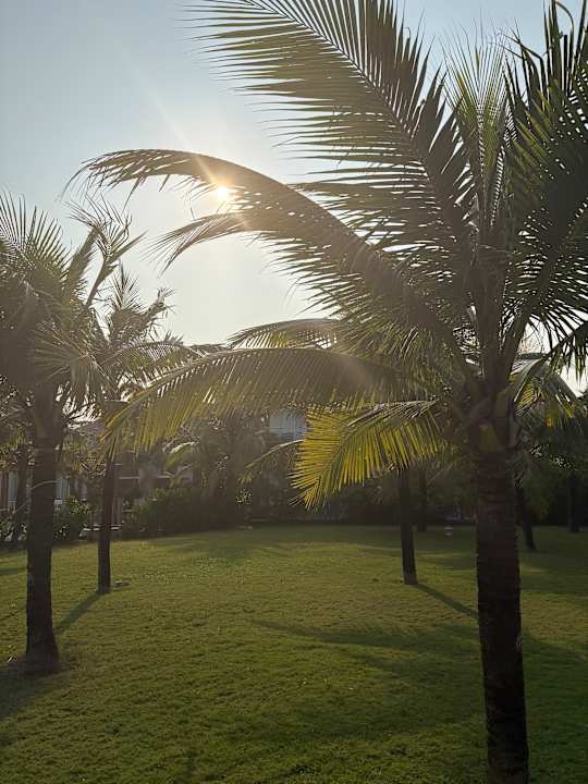 Gartenanlage ROBINSON NAM HOI AN