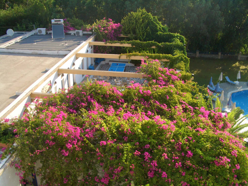 Pool Ekaterini Hotel