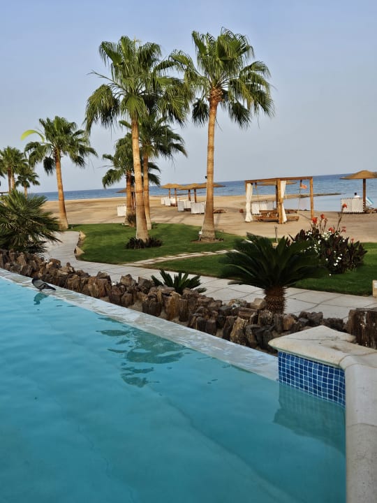 Pool Shams Prestige Abu Soma-Adults Only