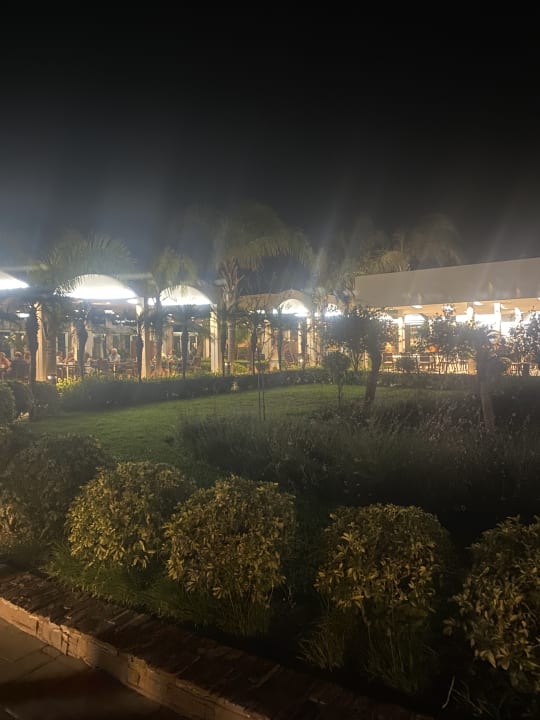 Gartenanlage Blue Lagoon Resort