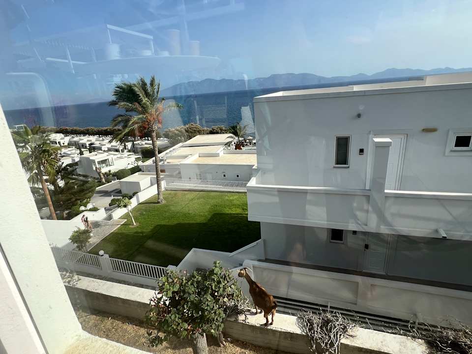 Außenansicht Dimitra Beach Hotel & Suites