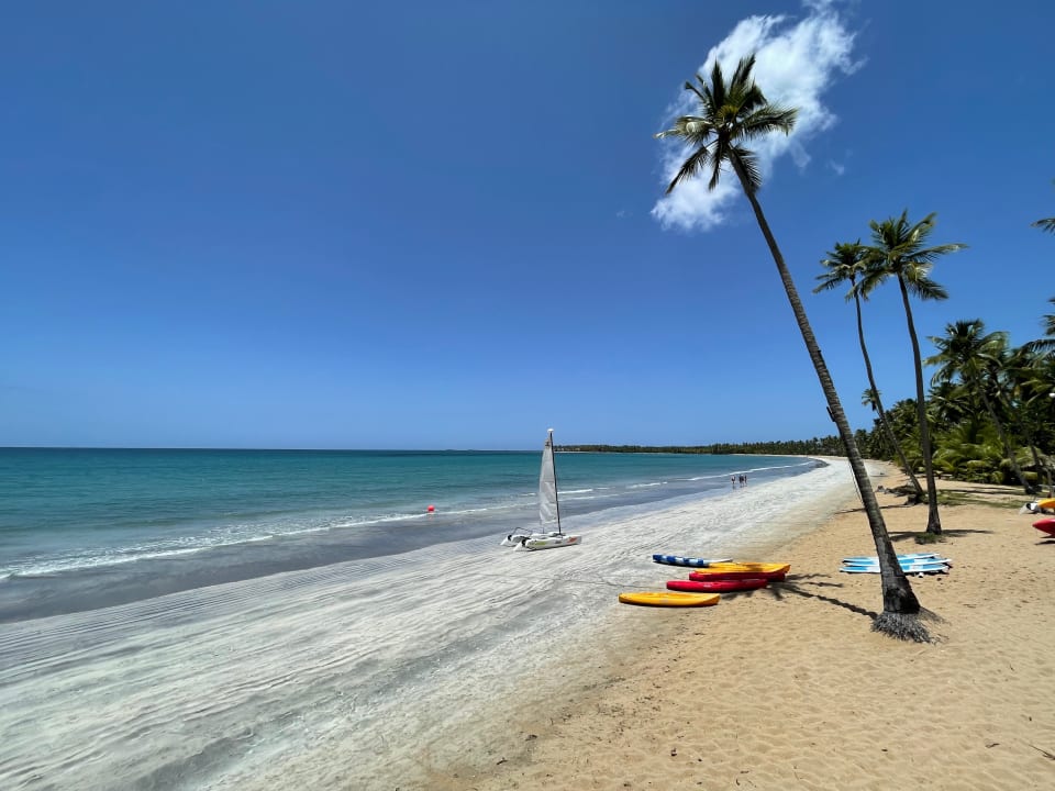 Strand Viva V Samana by Wyndham – Adults Only