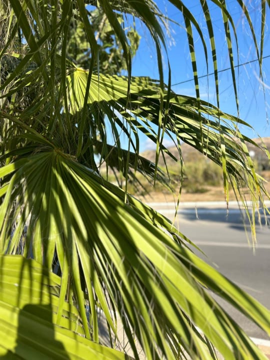 Außenansicht High Beach Resort