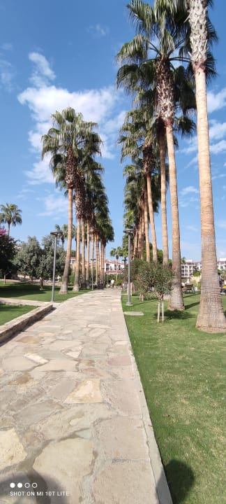 Gartenanlage Arum Barut Collection