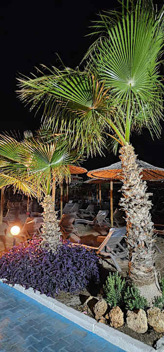 Strand Hotel Delphin Imperial