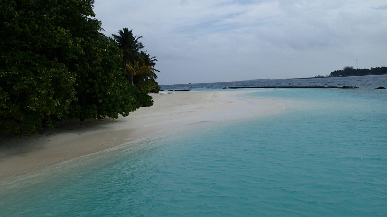 Traumstrand wie im Paradies Kuramathi Maldives