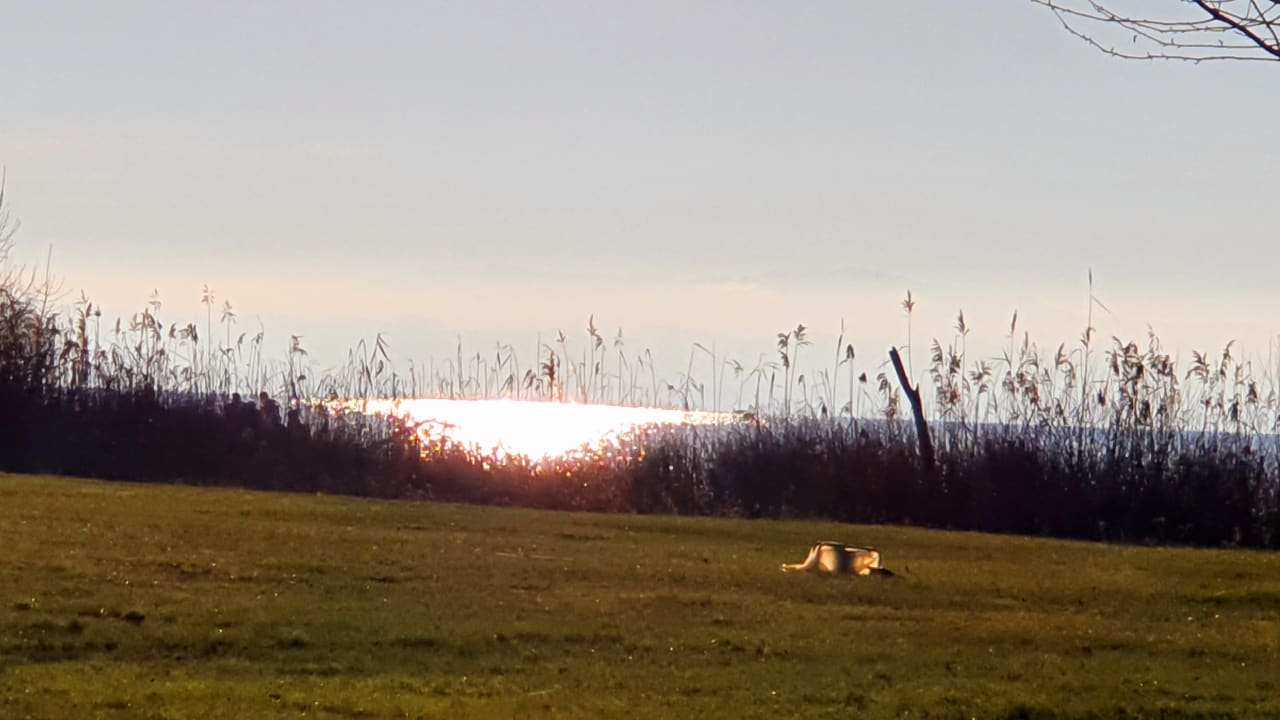 Ausblick Hotel-Restaurant Schwedi