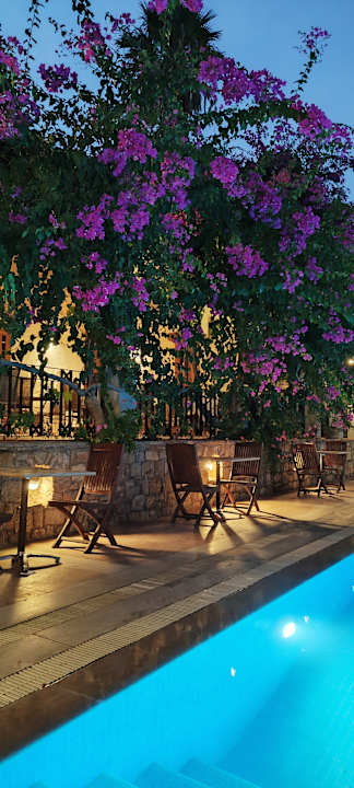 Gastro Hotel Zeytinada