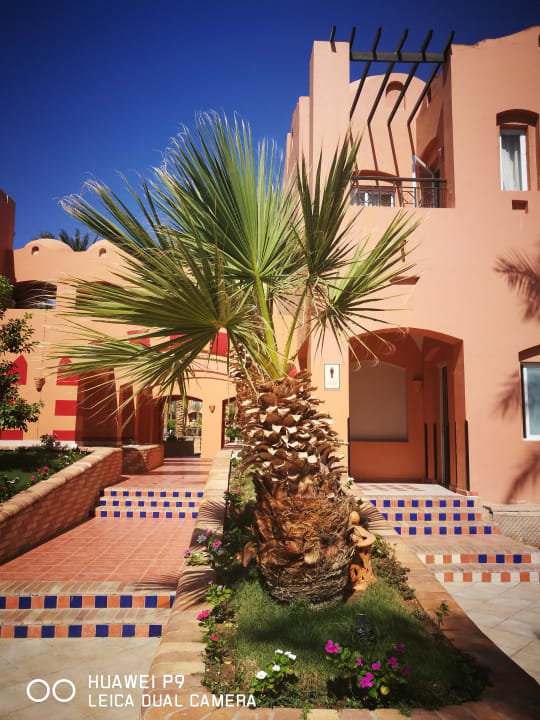 Gartenanlage Jaz Makadi Oasis Resort