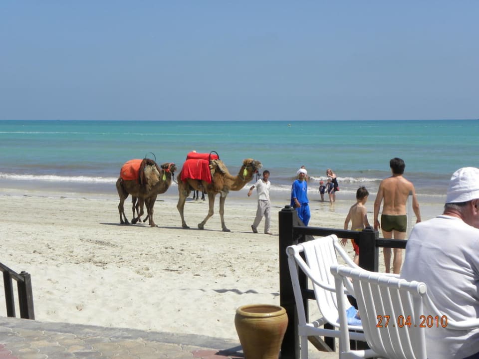 Familie "Kamel" am Strand TUI MAGIC LIFE Penelope Beach