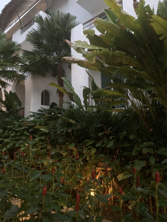 Gartenanlage Eden Beach Resort & Spa, A Lopesan Collection Hotel