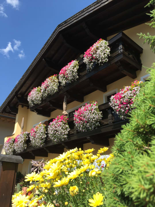 Außenansicht Frühstückspension MAIER