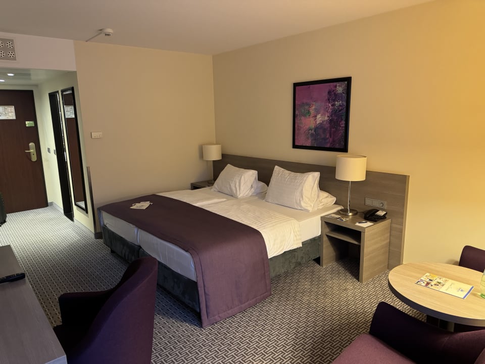 Zimmer Maritim Hotel Königswinter