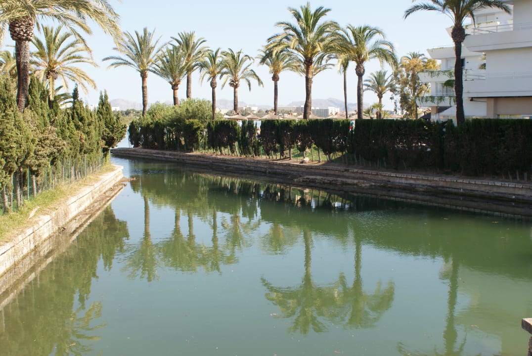 See direkt am Hotel VIVA Eden Lago