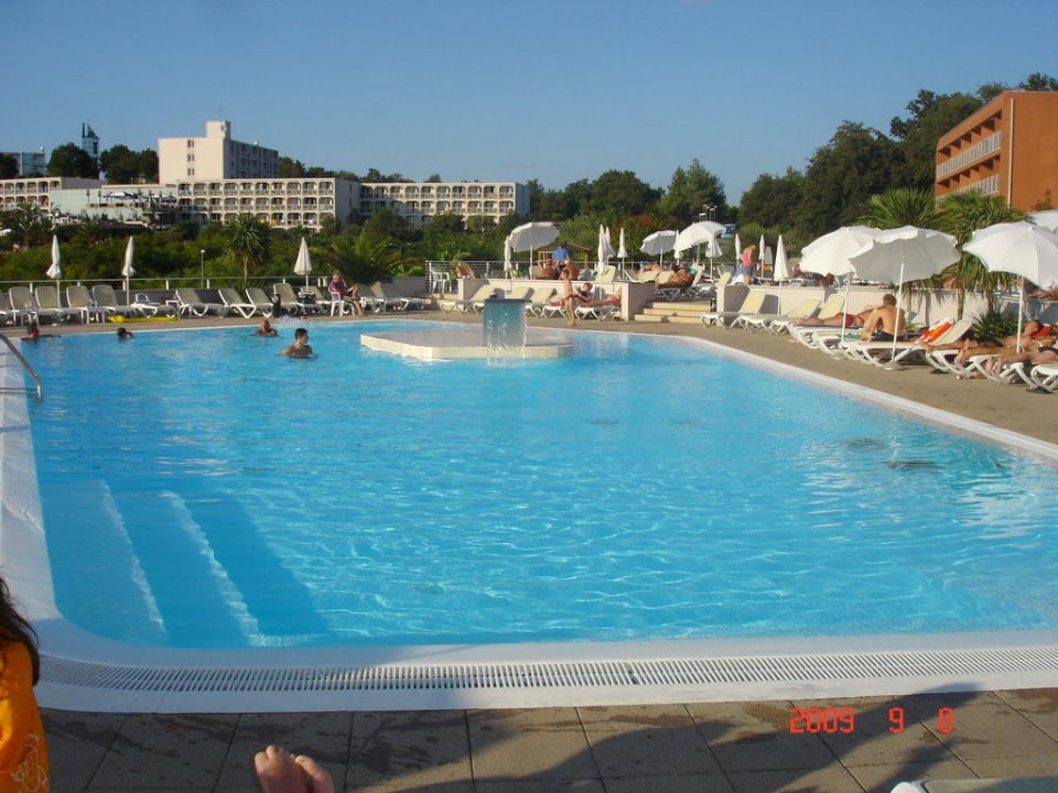 Pool Hotel Albatros Plava Laguna