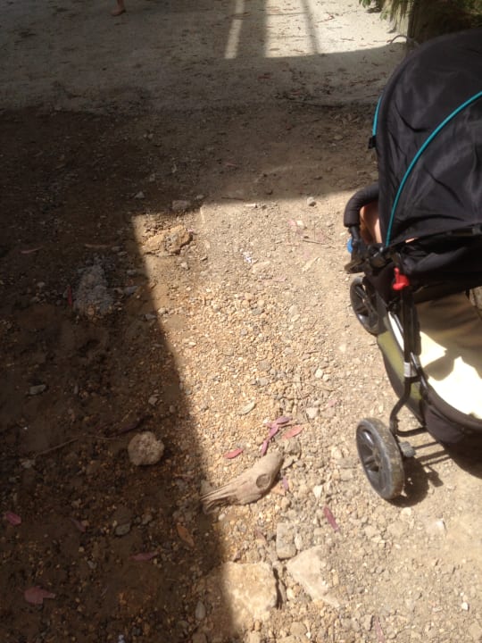 Sonstiges Seaden Corolla Hotel