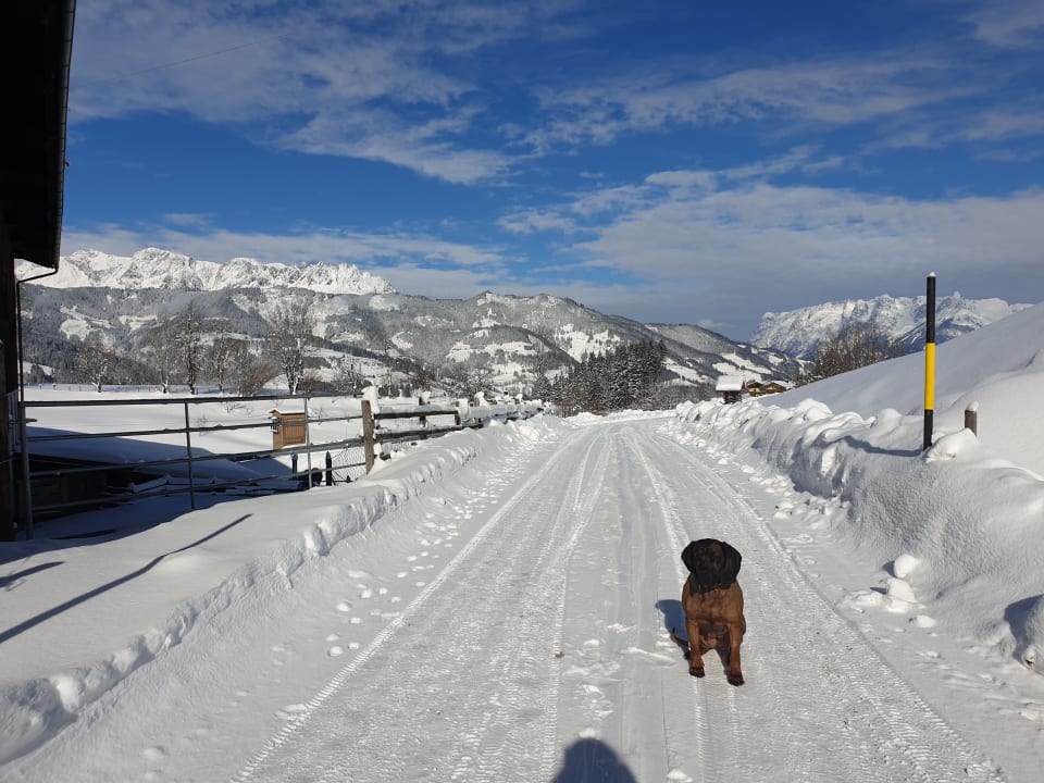 Ausblick Hotel-Pension Ötzmooshof