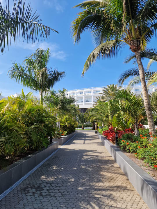 Gartenanlage Hotel Riu Palace Maspalomas Adults Only