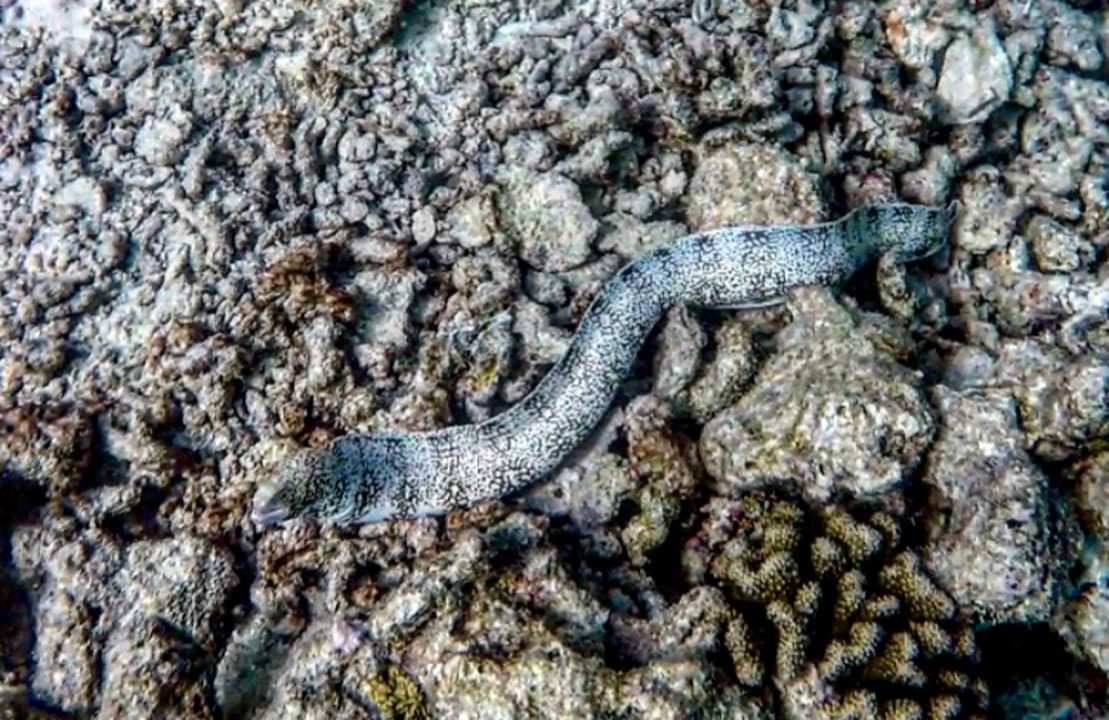 Sport & Freizeit Dreamland The Unique Sea & Lake Resort / Spa