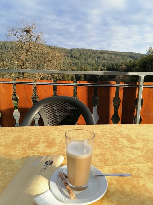 Ausblick Schwarzwaldhotel-Gasthof Hirsch