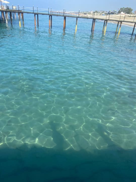 Strand Dizalya Palm Garden