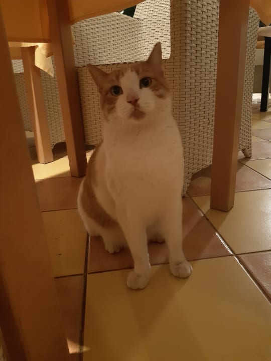 Sonstiges Club Hotel Drago Park