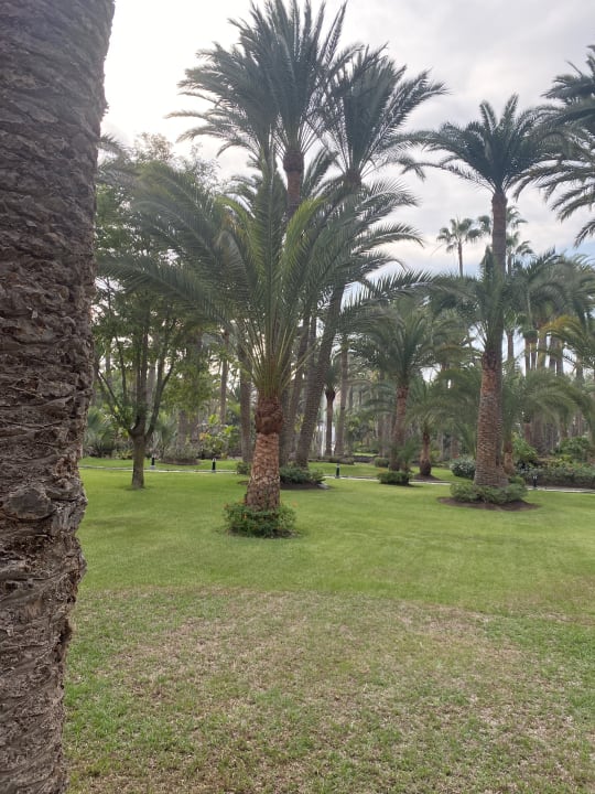 Gartenanlage Hotel Riu Palace Oasis