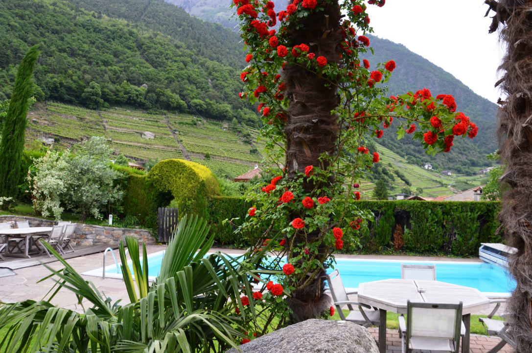 Gartenanlage Appartements Obermaratscher