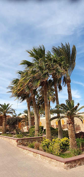 Außenansicht Mövenpick Resort El Quseir