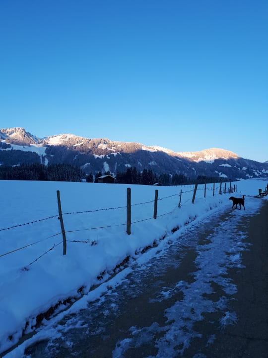 Außenansicht Panorama Hotel Kaserer
