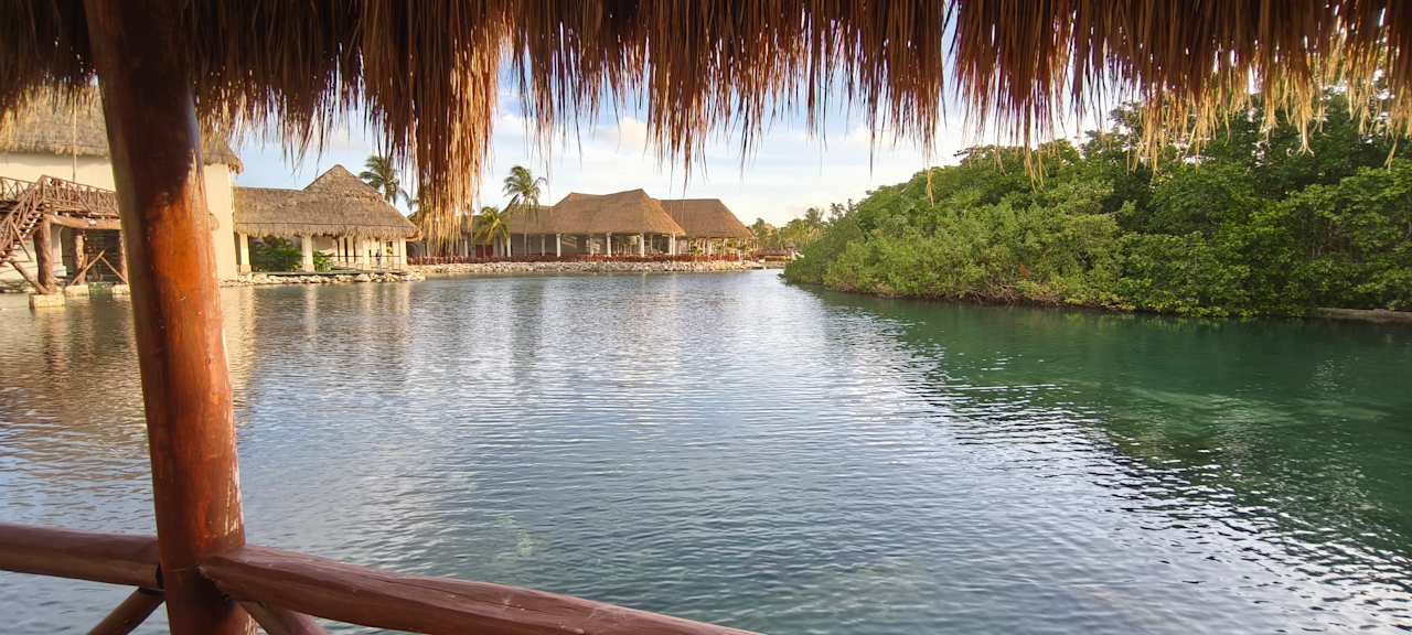 Ausblick TRS Yucatan Hotel - Adults only