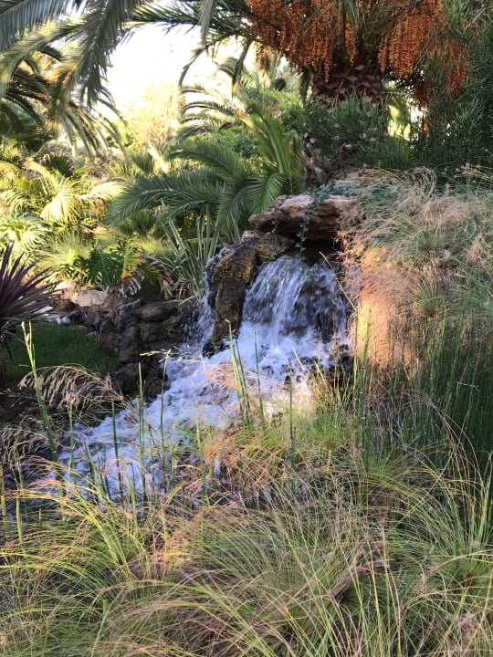 Gartenanlage Caravia Beach Hotel