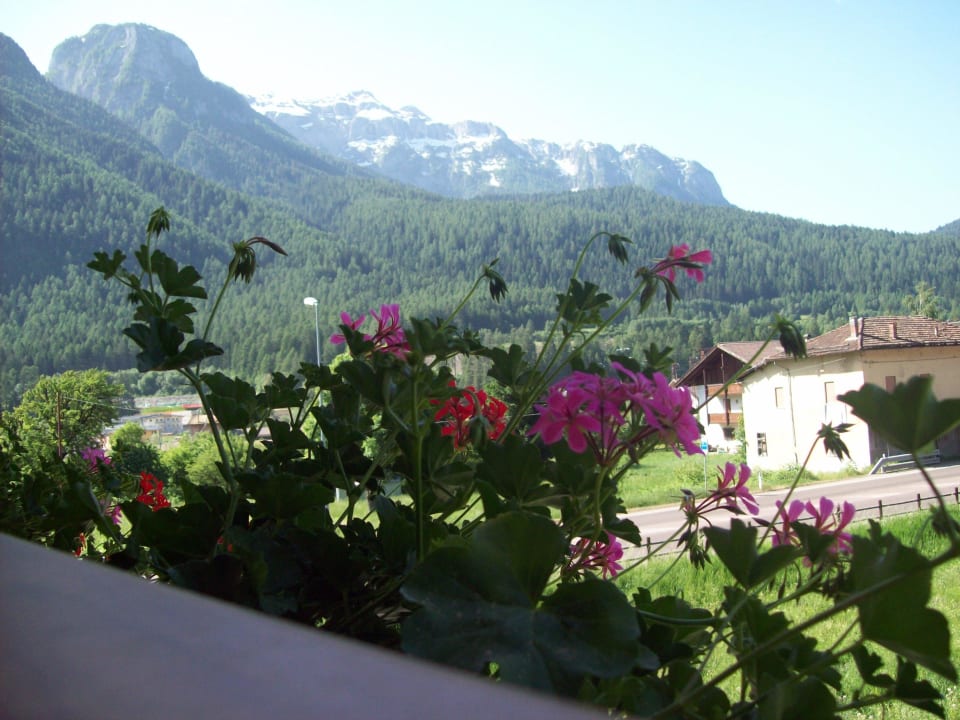 Dai nostri balconi B&B Nido Delle Aquile