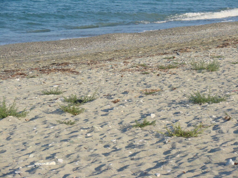 Detail vom Hotel-Strand Olympian Bay Grand Resort