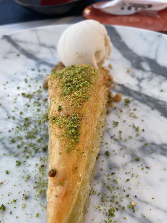 Gastro Acanthus Cennet Barut Collection