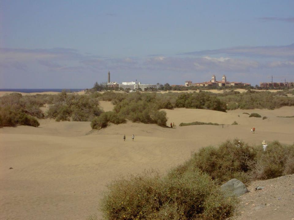 Blick vom Riu Palace nach Maspalomas Hotel Riu Palace Maspalomas Adults Only