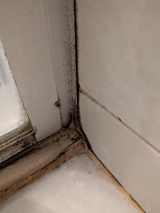 Zimmer Palm World Side Resort & Spa