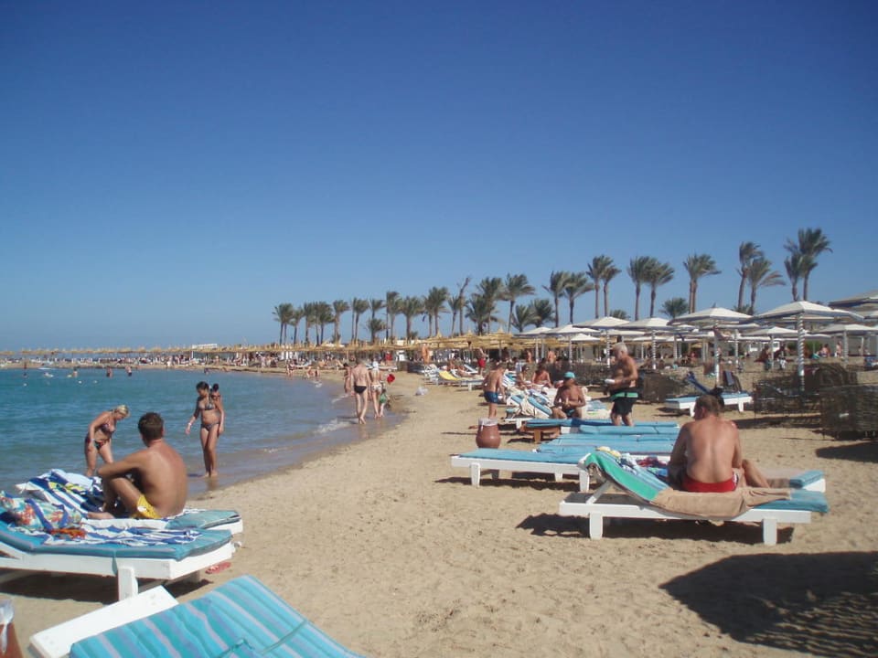 Strand am Dana Beach Pickalbatros Alf Leila Wa Leila Resort - Neverland Hurghada