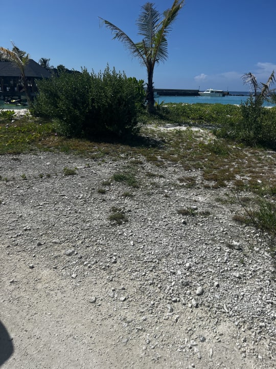 Sonstiges Cinnamon Dhonveli Maldives